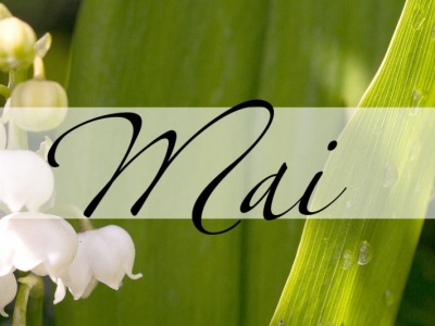Mai dans les médiathèques du ROC