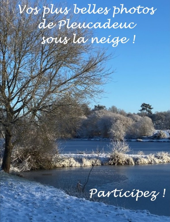 Pleucadeuc_neige