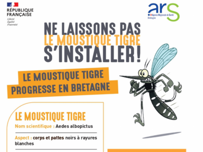 Moustiques