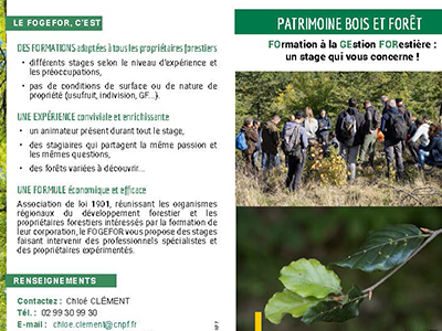 Cycle Découvertes FOGEFOR