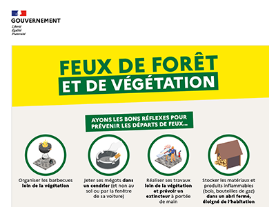 Risque Sévère de Feux de Forêt dans le Morbihan